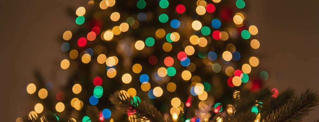 bokeh christmas lights Jacksonville